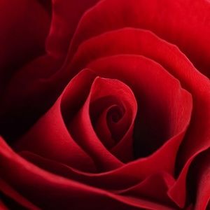 Meet your Posher, Margaret